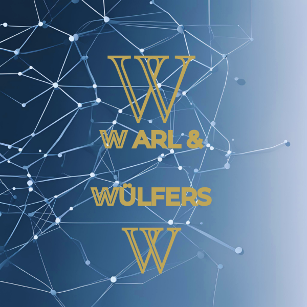 IT--Netzwerk Dienstleistung